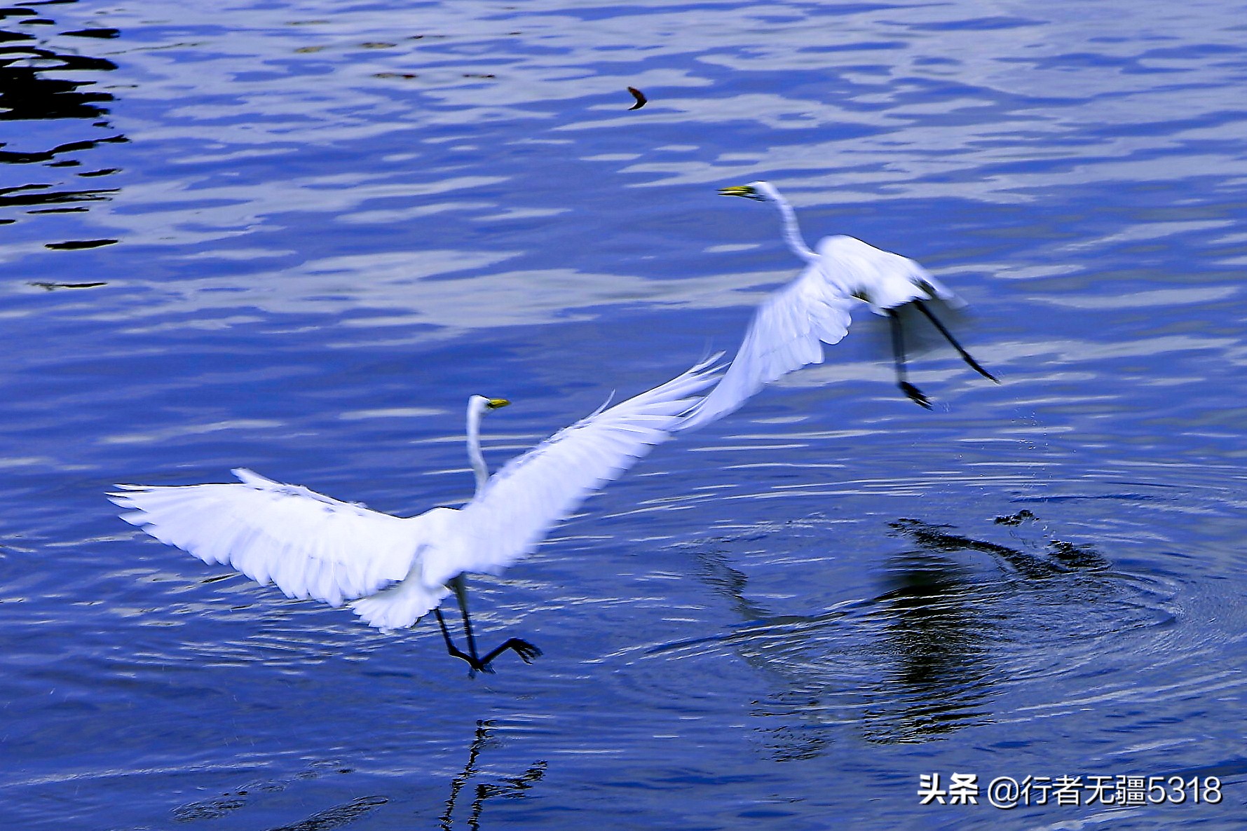 三亚天涯海角风景区游记散文,三亚海边游记散文