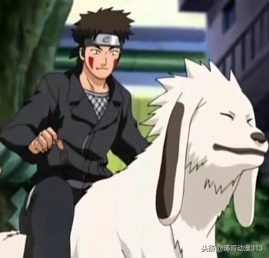 火影忍者犬冢牙的姐姐,小犬冢牙教学火影忍者