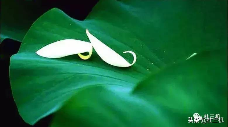 道家相学揭秘,道家玄学阴阳