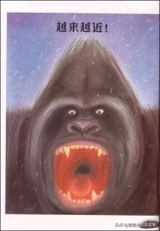 有声绘本故事《嘿，站住！》学会信任