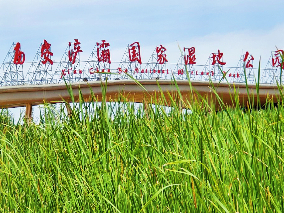 西安最新湿地公园,西安国家湿地公园