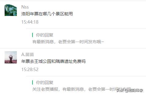 洛阳游玩资讯最新,洛阳旅游年票外地人可以办吗