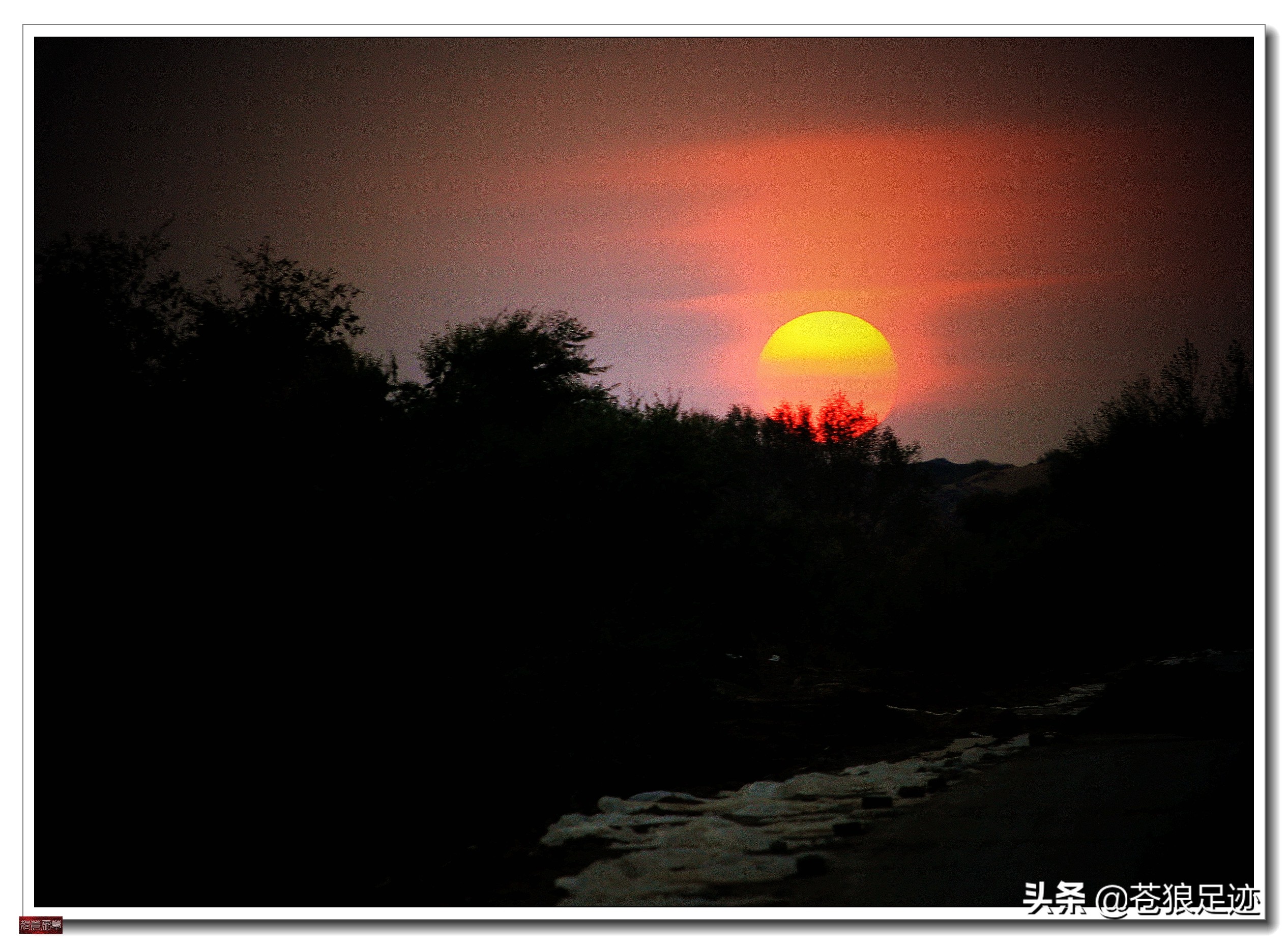 野阔牛羊同雁鹜——雄浑壮阔的贡格尔草原