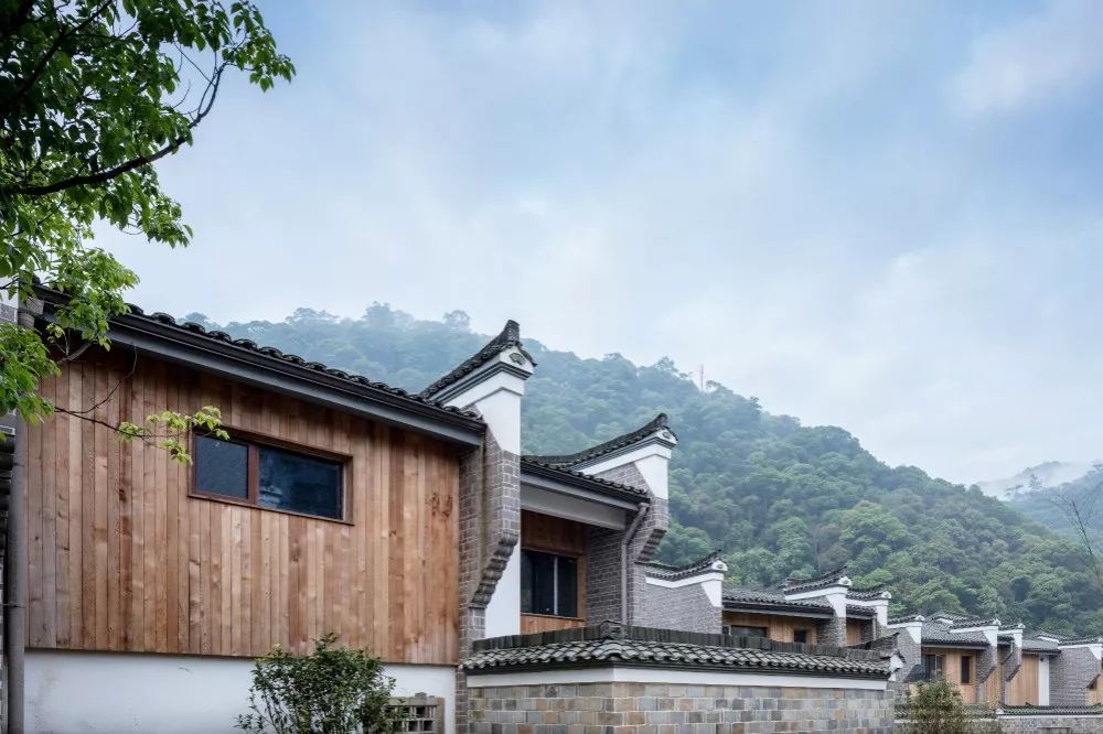 武夷山德懋堂|270万起旅居武夷山临溪别墅，遍访先贤遗迹！看云海、逛古村、品香茗，每天都生活在山水画中