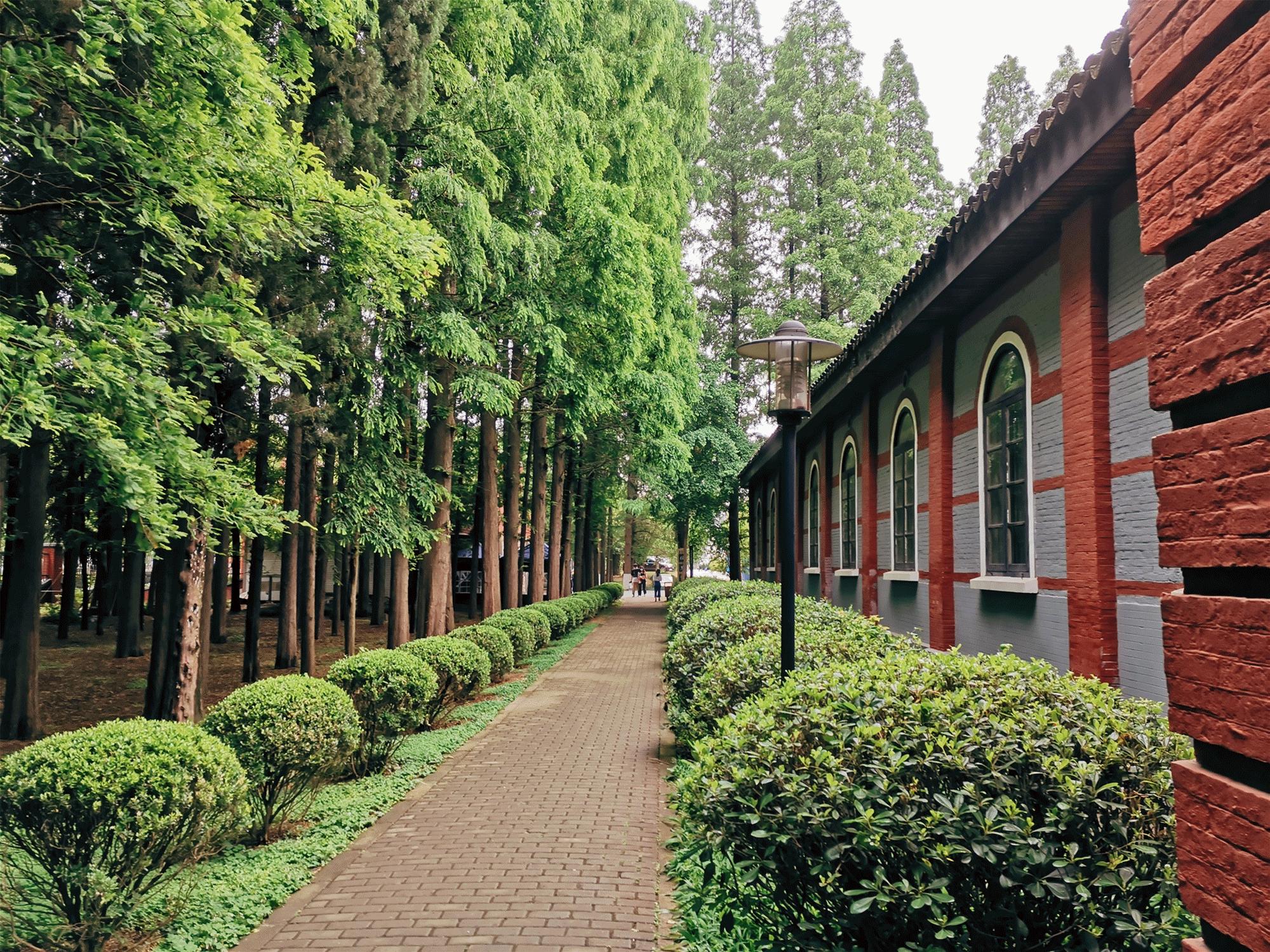 讲真的！苏州这所学院，为什么就成了网红