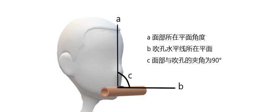 笛子初学成人零基础总是吹不响,笛子吹不到节奏