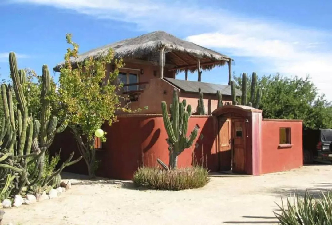 为什么rihanna那么火,rihanna副业赚多少钱