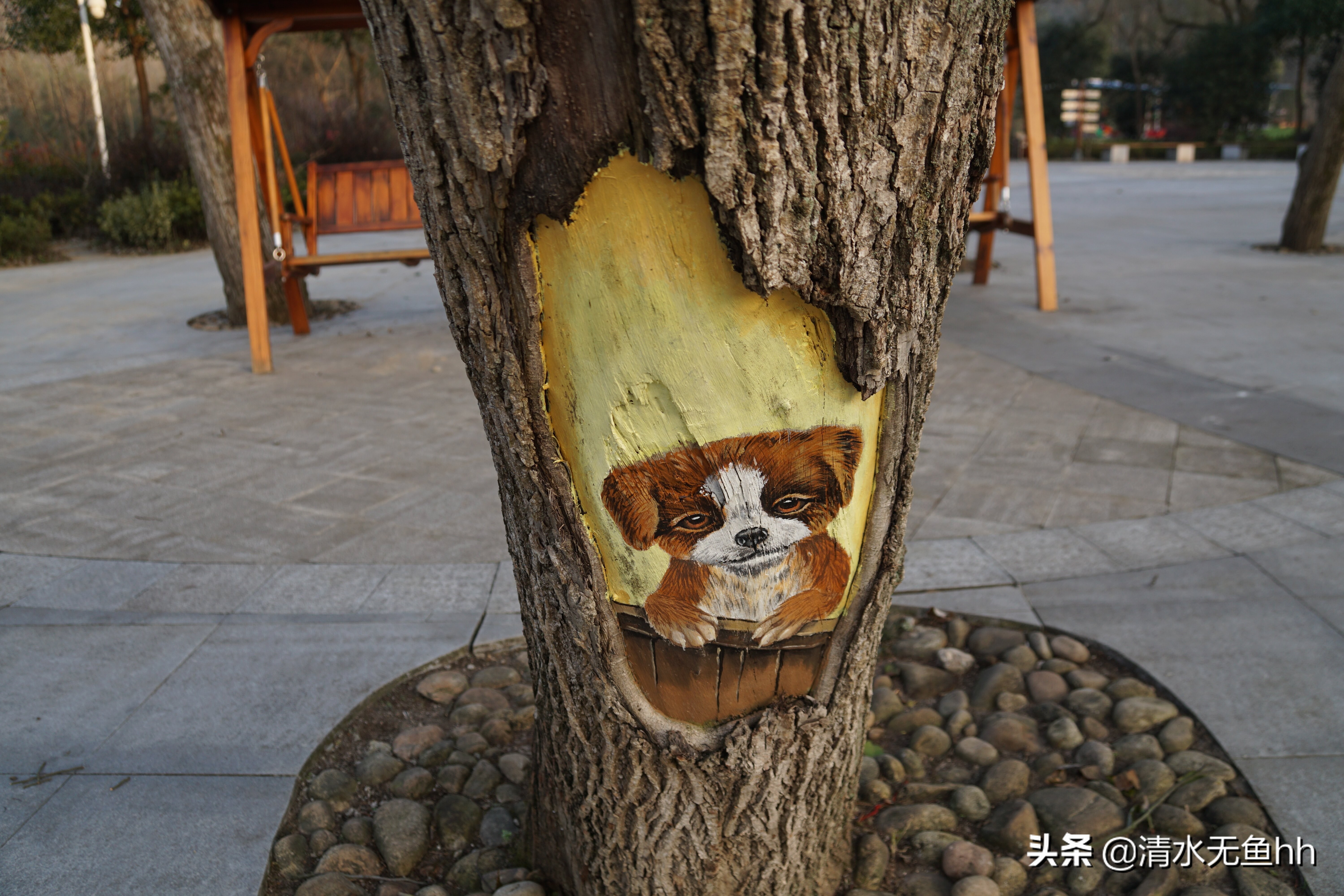 大别山游历,大别山之旅视频