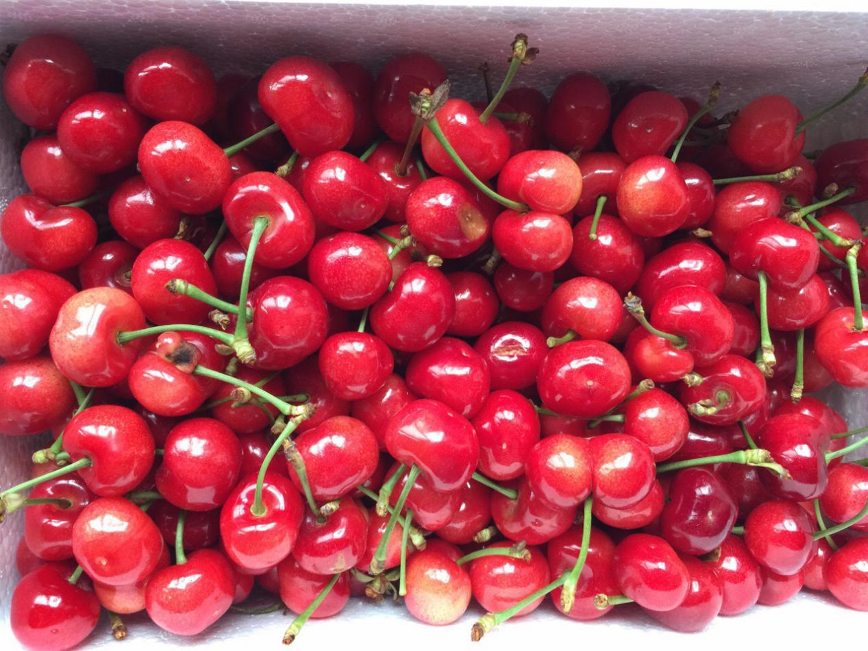 怀孕期间这五种食物要多吃,怀孕后别错过这八种食物