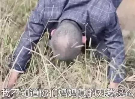 男子假死骗保，妻子带儿女投湖！案发一年半后还是让人心酸