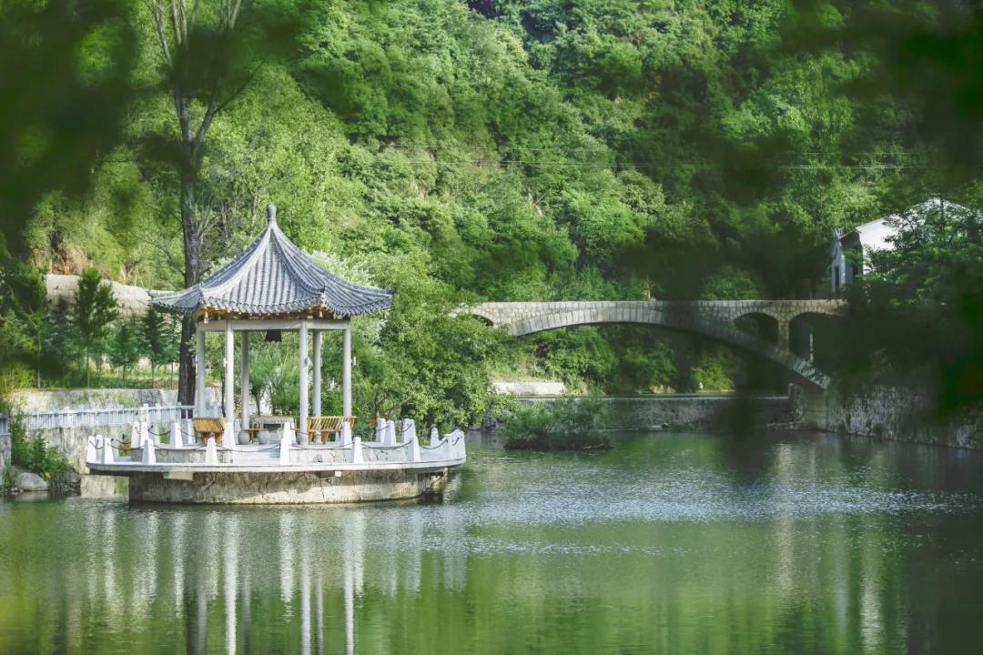 栾川湖景民宿,栾川森林氧吧民宿