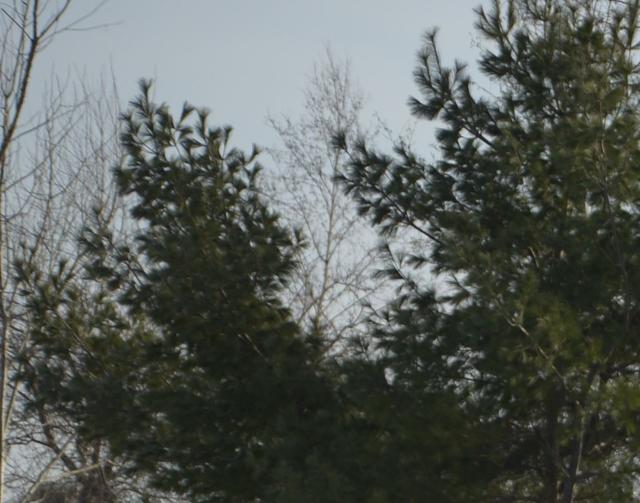 高性能大光圈人像镜头难在哪？从适马105mmF1.4ART说起