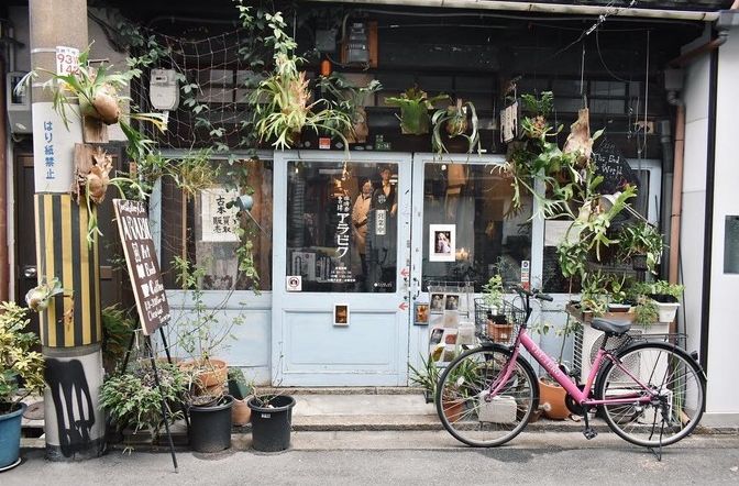 看惯了千篇一律,看惯了千篇一律的风景