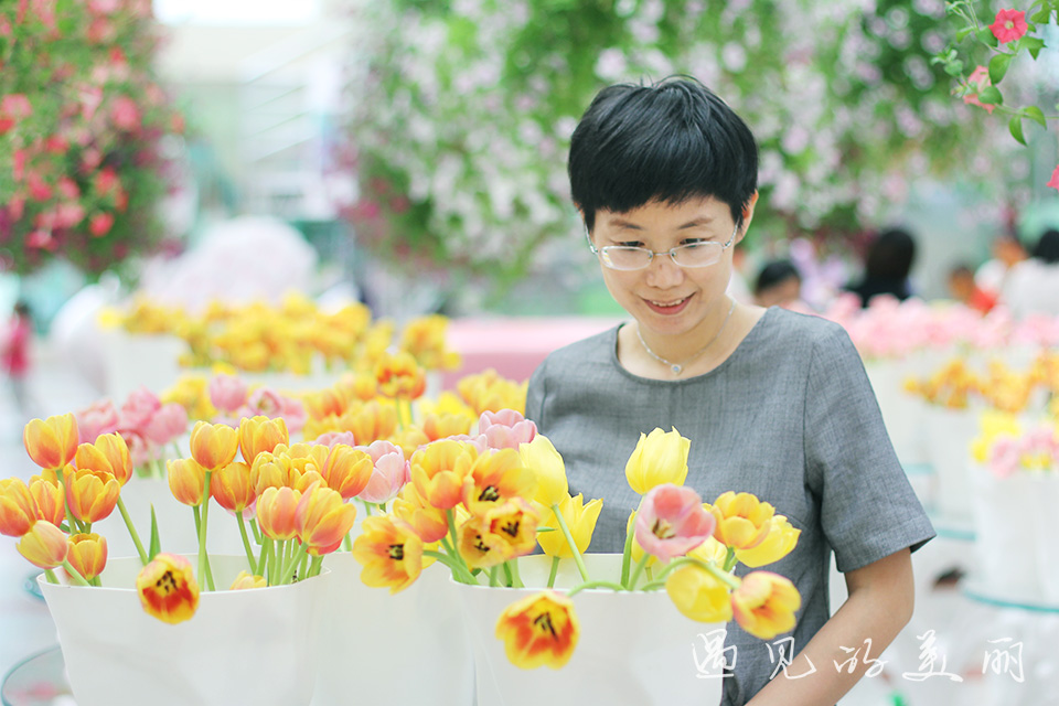 百万葵园有多坑,百万葵园免门票