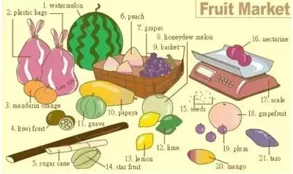 家长收藏孩子受益好物推荐,儿童英语物品词汇大全