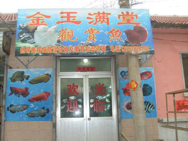 不贪小便宜能上当吗,不贪便宜不会上当受骗