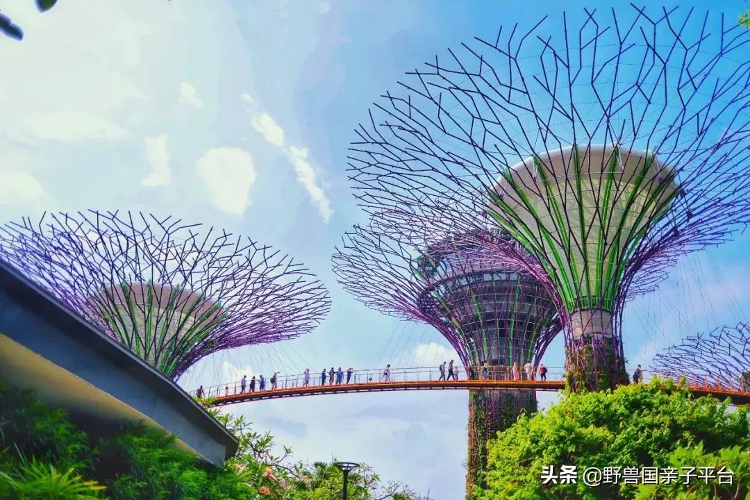 带孩子新加坡4天够玩吗,新加坡带孩子自由行几天