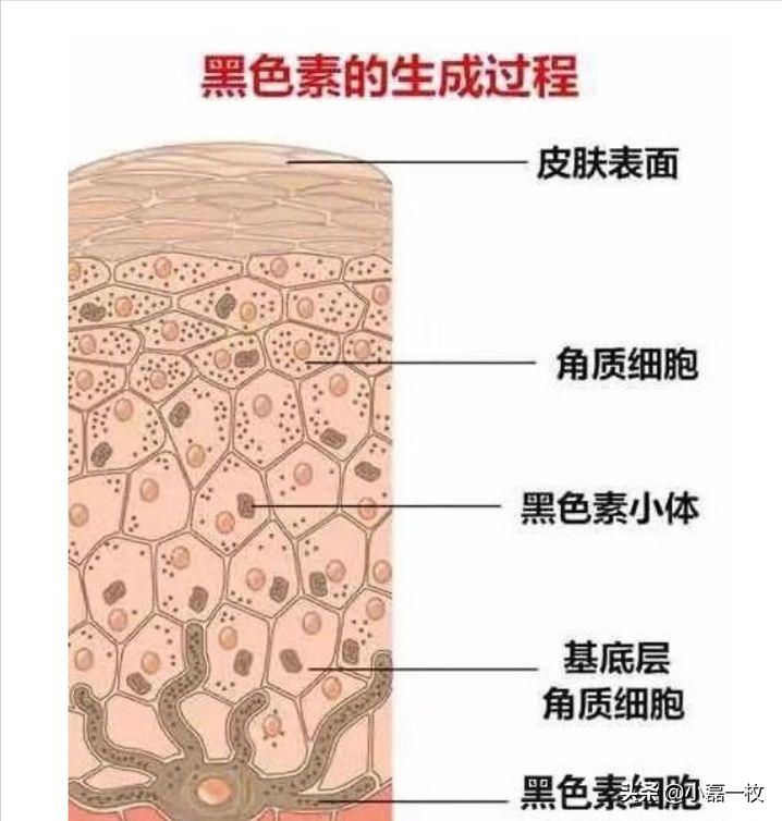 熬夜脸色蜡黄怎么改善最快最有效,脸熬夜蜡黄暗沉怎么调理