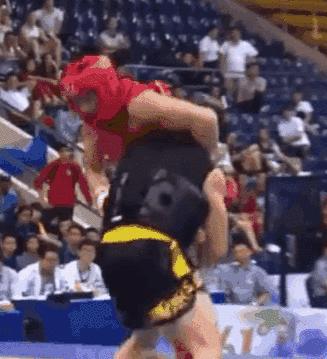 散打介绍简短文字,散打文章