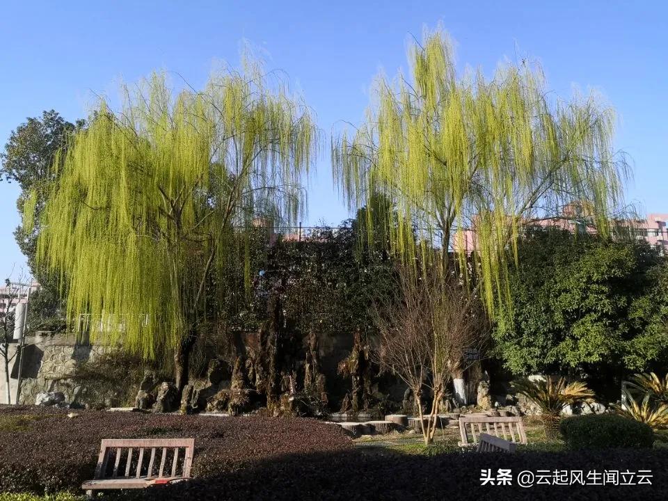 随州县城网红打卡地,随州市曾都区旅游景点
