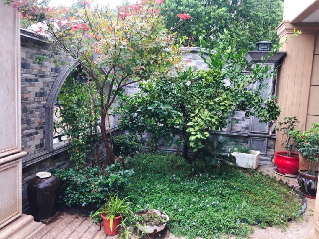 无锡江阴美丽田园,庭院深深美如画