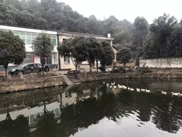 湖南益阳被救女孩,湖南益阳女子被救助