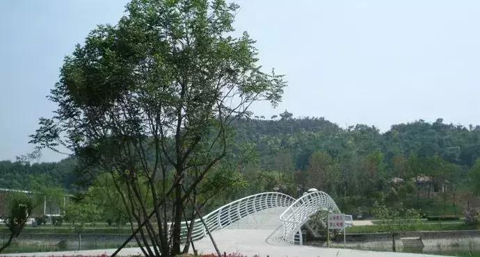 天津春天踏青好地方,天津武清踏青好去处