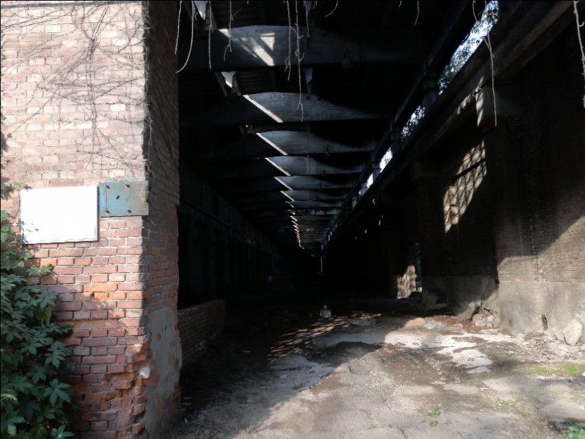 扫街日记100篇,扫街日记视频