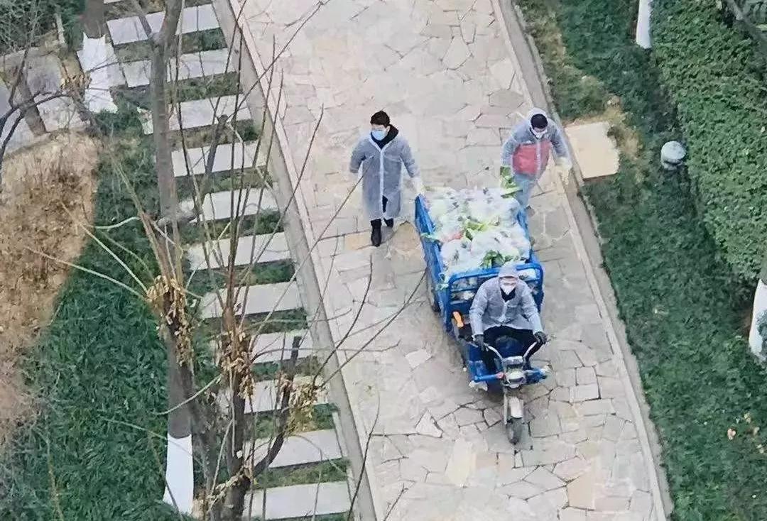 这里的陪伴，很温柔