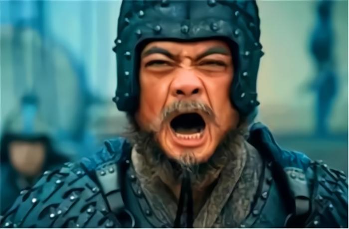 三国二十四名将魏蜀吴各占多少,三国二十四名将各属于什么阵营