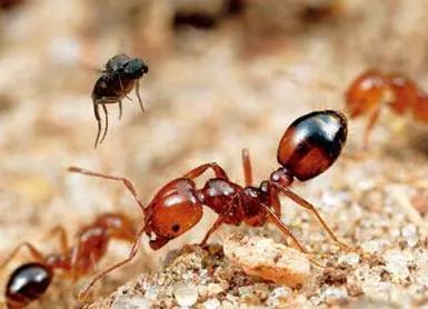 每天收到陌生人转账自己能花吗,不要轻易向陌生人转账后面是什么