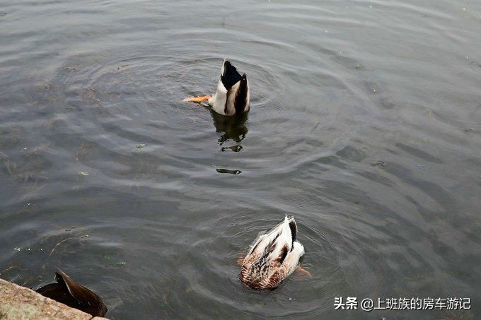 周末微旅行：秦望山麓访名校，白沙堤岸醉桃柳（第二季）