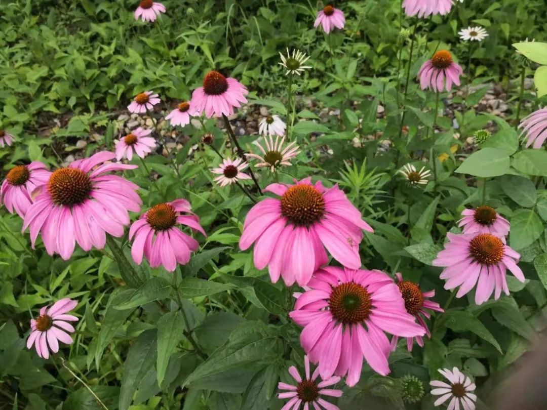 很多时候不知道你有多大能力,如果你有超能力你想要什么能力