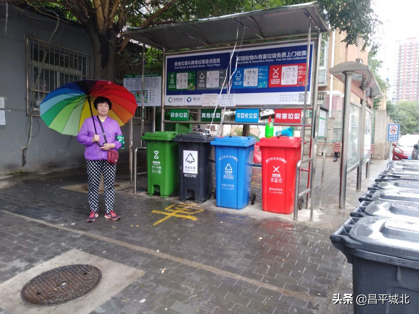 昌平区志愿服务工作,昌平区志愿服务