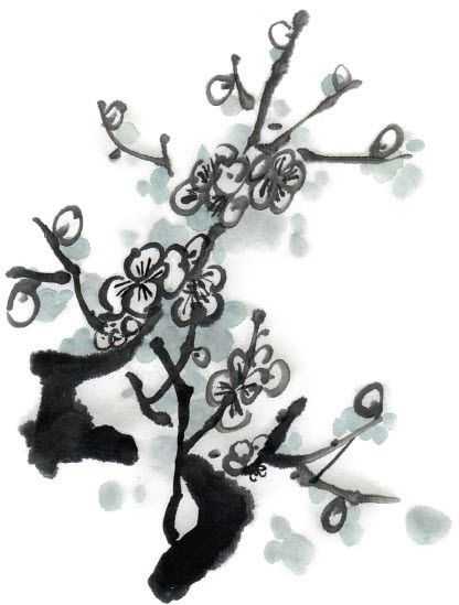 国画梅花上的雪画法步骤教程视频,零基础国画入门画梅花教程