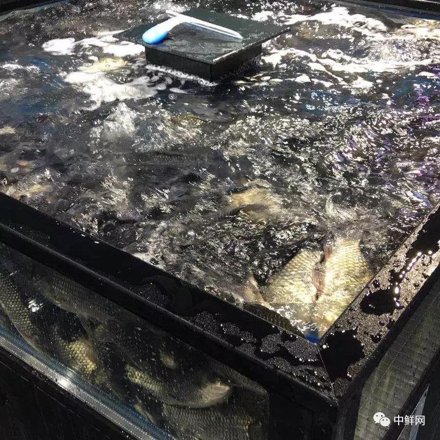 中秋营销水产篇，如何稳中求胜创佳绩？