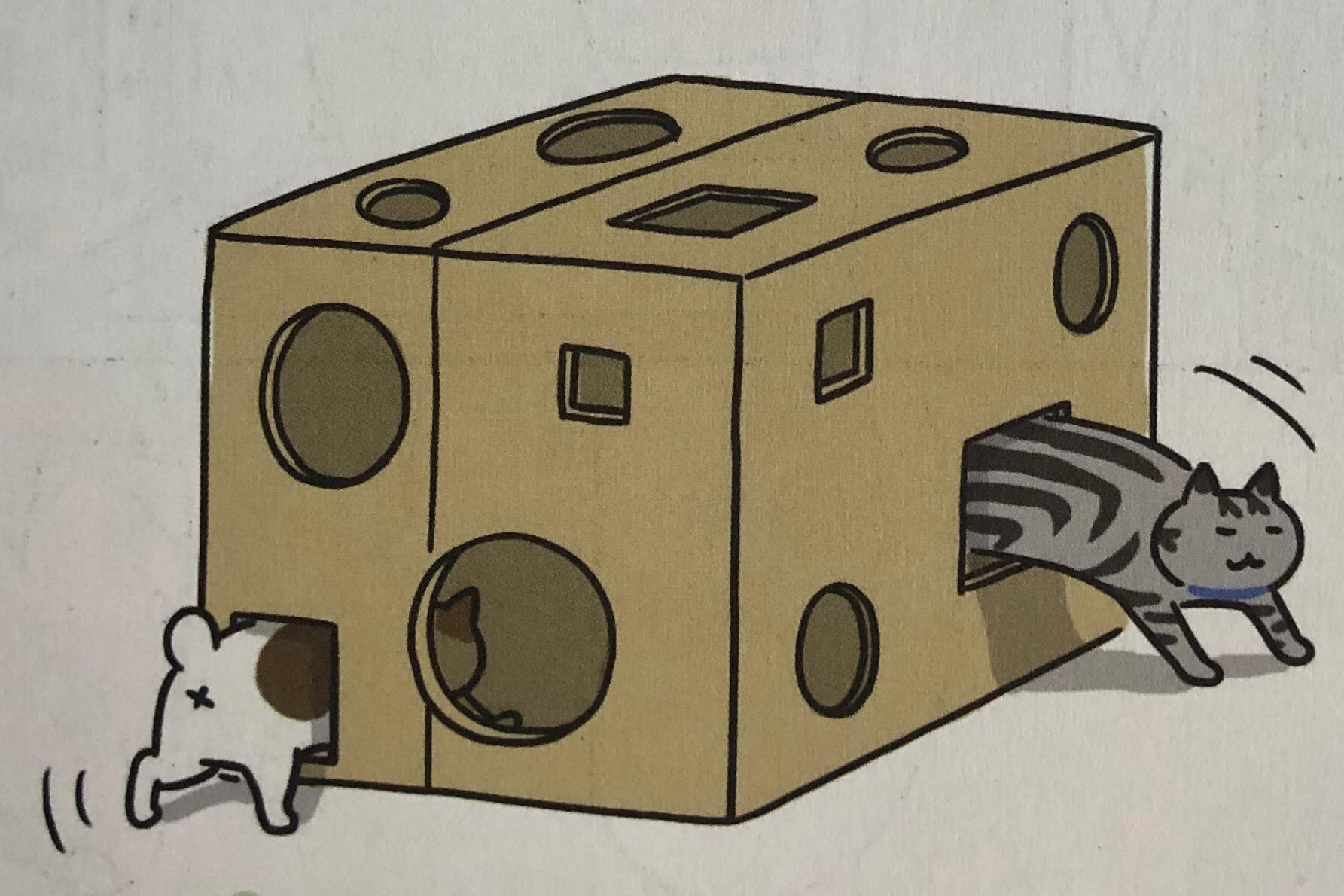 猫咪的玩具怎么动手操作呢,日常生活中该如何做猫咪的玩具