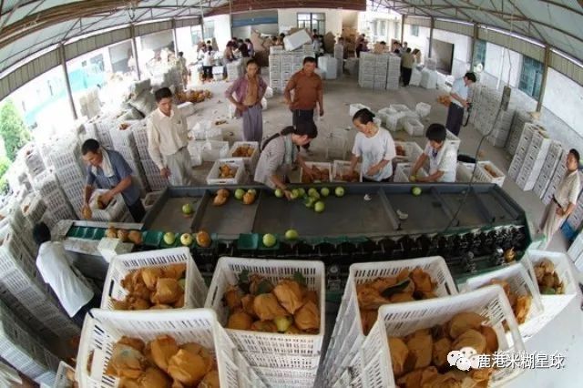 台湾米糊企业向湖北宝宝免费赠送30天米糊