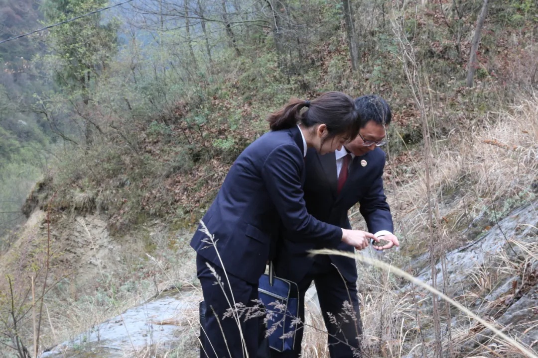 最高检行政公益诉讼指导性案例,最高检公益诉讼典型案例