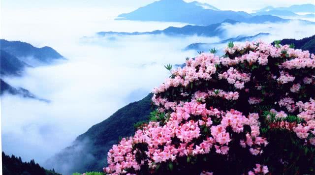 浙江有哪些有瀑布的旅游景点,浙江旅游景点推荐瀑布