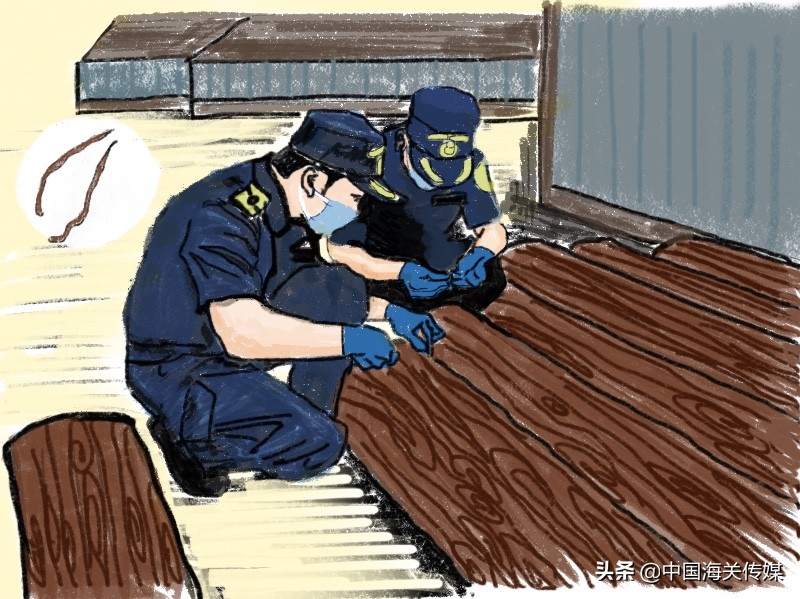 婕瘽鍎跨瀹夊叏,鍥介棬鐢熺墿瀹夊叏鍔ㄦ极瑙嗛