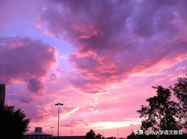 （每日一课）八年级下册语文寒假预习：20课基础字词汇总