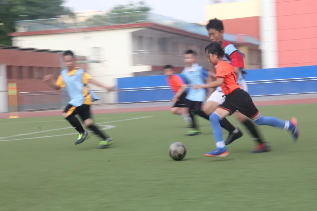 枣庄市立新小学第三届“校长杯”足球联赛圆满落下帷幕