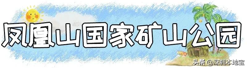 深圳免费的景点有哪些地方,深圳有哪些免费又好玩的地方景点