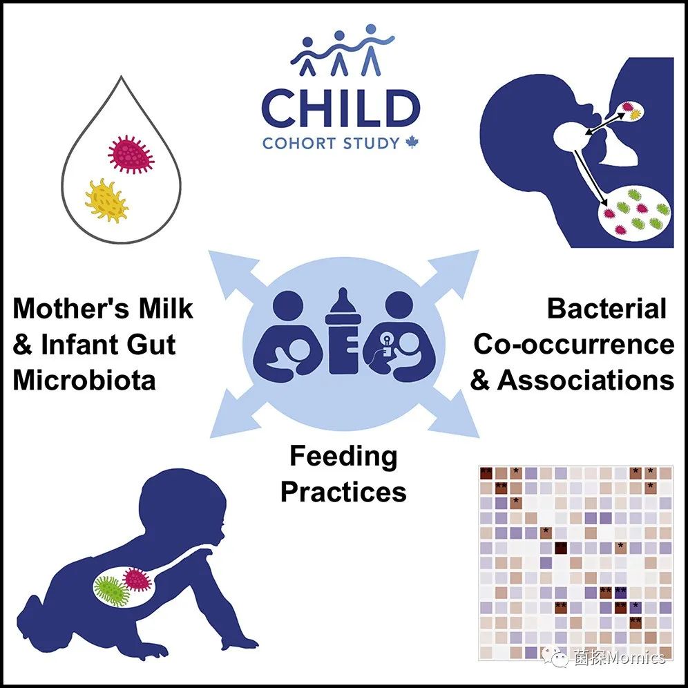 cell子刊新发现,cell子刊教学视频