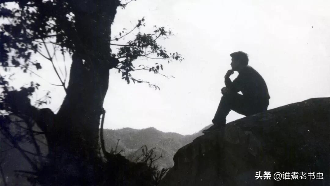 老书虫力推四本良心都市小说,推荐几部经典都市小说书