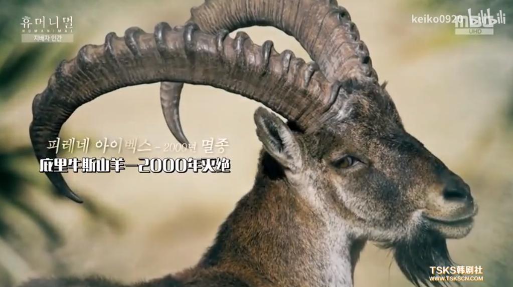 15岁怀孕,她被骗吃下*药炸**,一尸两命:有些人,这辈子不配为人