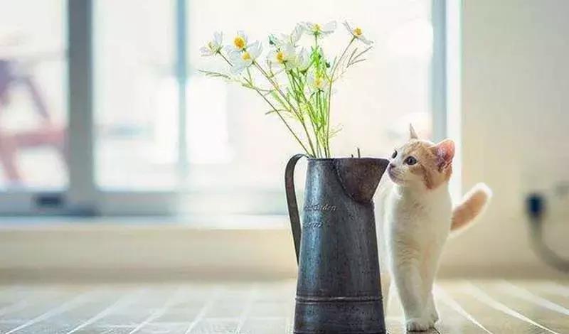 得了产后抑郁丈夫还说矫情,老公觉得产后抑郁是矫情