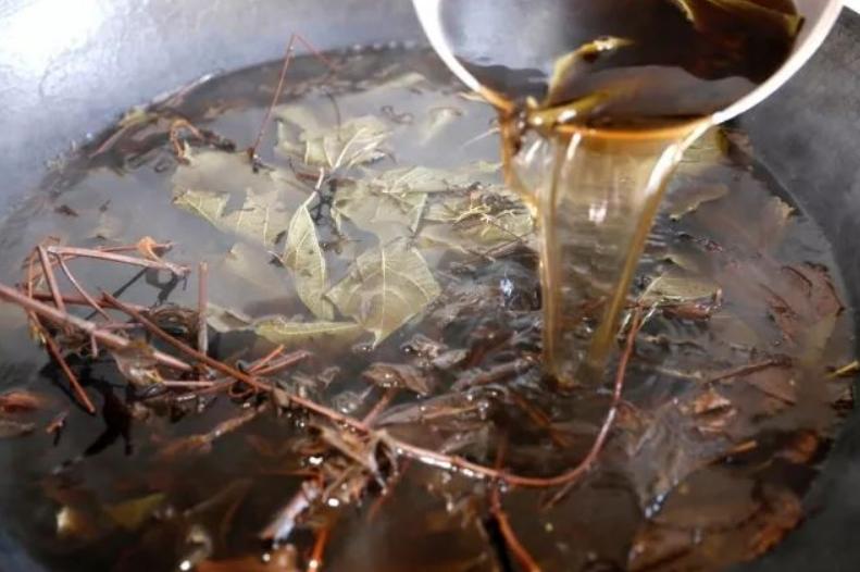 五月端午的艾叶有什么作用,端午前的艾叶与秋后的艾叶