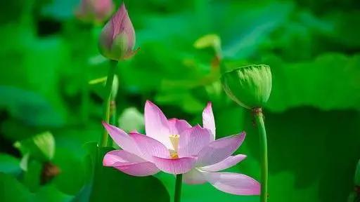 53种病不能输液规定,国家规定53种疾病不准输液